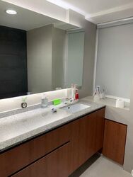 Cairnhill Plaza (D9), Apartment #521361131
